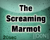 The Screaming Marmot