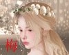 梅 lily crown