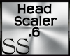*SS Head Scaler .6