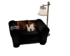 Country Reading Chair