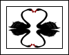 Cisne Negro Duplo