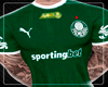 Palmeiras 2025