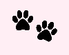 kitten paws