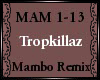 Tropkillaz~Mambo Remix