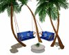 Palm Beach Swings