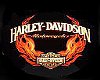 Harley Davidson Lrg Rug
