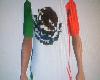 Mexican Flag shirt