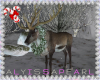 :A: Christmas Deer 1