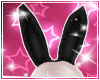 Bunny Ears Black Set