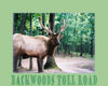 backwoods toll road