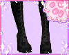 🐾Kat Boots Black