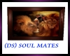 (DS)Soulmates lions