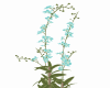 Flowers 6