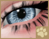 ~AM~ Urlop Eyes v1