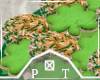 St Patricks Day Cookie 2
