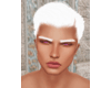 Ivory Brows 1