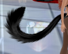 Animated Black Cat Tail
