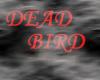 Dead Bird