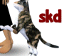 (SK)Calico Cat