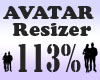 Avatar Resizer 113%