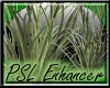 PSL Another Grass En2