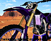 Dirt Bike Purple