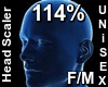 F/M Head Scaler 114%