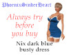 Nix busty drk blue dress