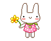 Sweet bunny