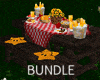 Picnic At The Park BNDL