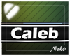 *NK* Caleb (Sign)