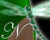 ~N~ Emerald Dragonfly