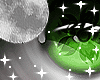 月| Green Lotus M/F