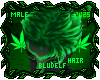 Kush Hair