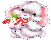 cute bunny with rose