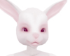 f anyskin bunny ears