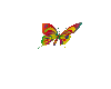 [cc]  Animated Butterfly