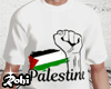 Palestine Freedom Tee V1