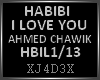 HABIBI I LOVE YOU