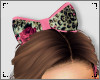 ♥ Rosey Bow