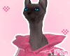 p. adopt me