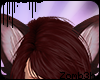 z | Cat Ears - Wine 2