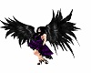 dark wings  kil