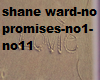 shane ward-no promises