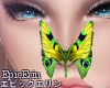 [E]*Beautiful Moth Pet 5