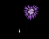 Heart Fireworks Purple