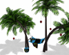 fallen's hammock