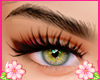 Brows Black