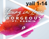 Borgeous: Young in Love