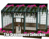 Gardenhouse Green